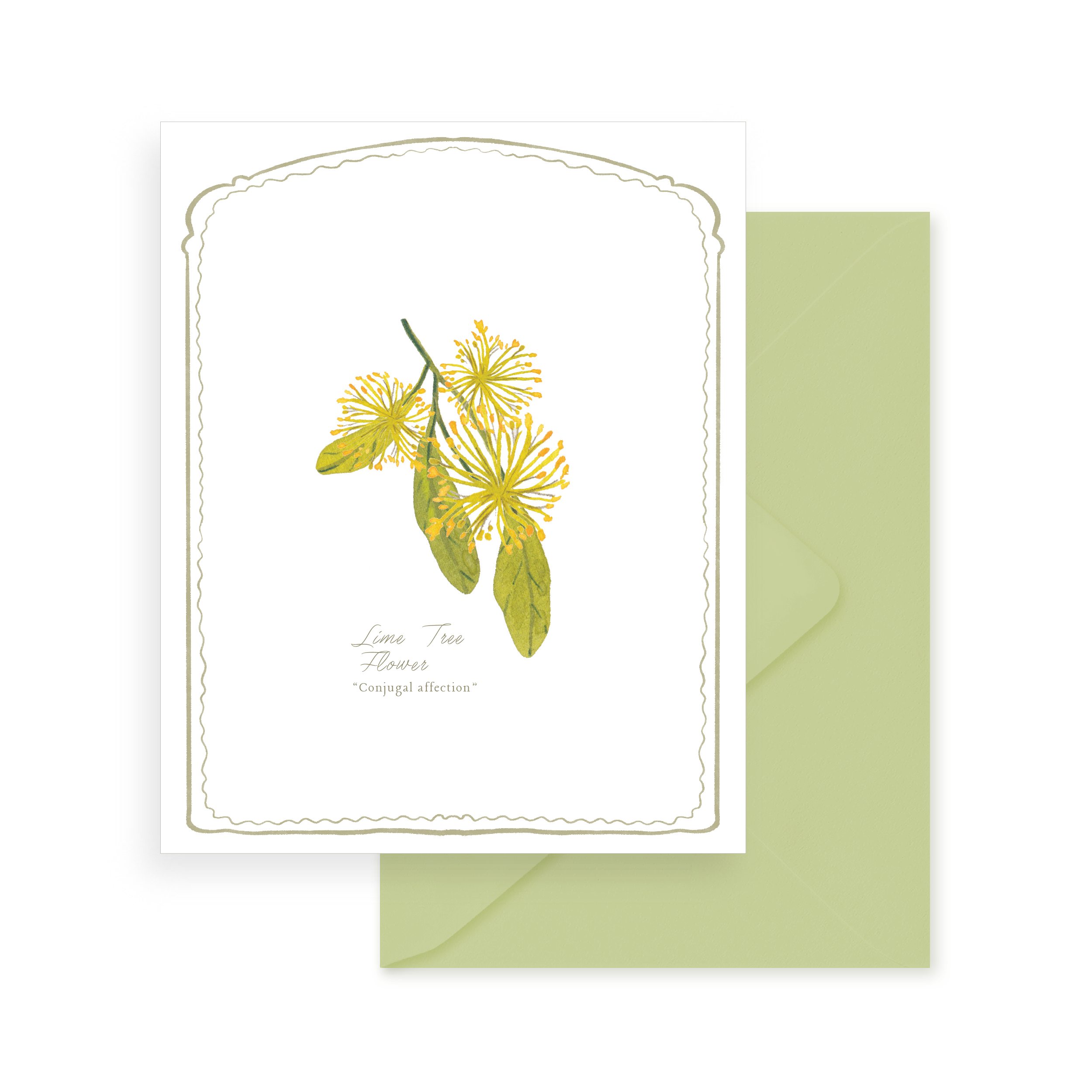 Greeting Card - Floriography: Lime Tree Flower