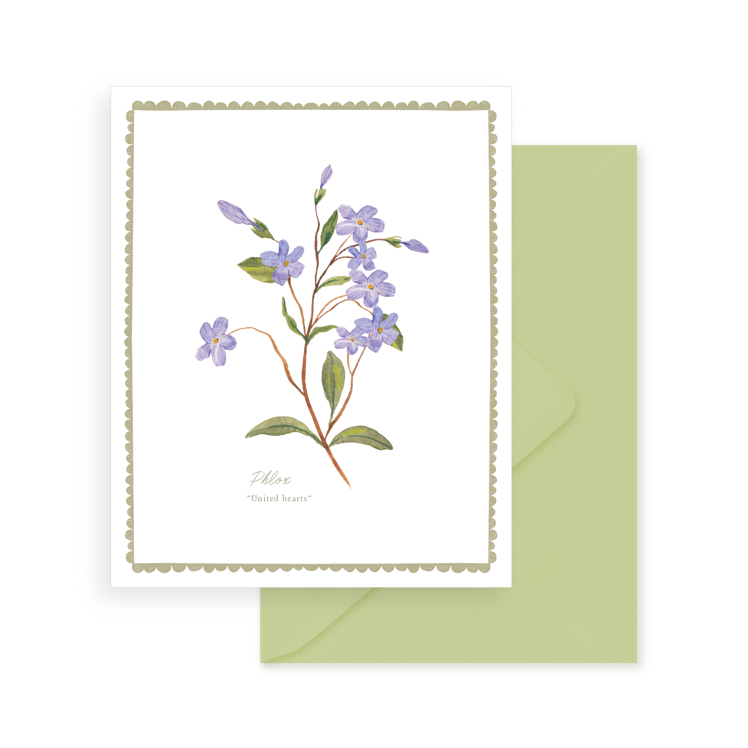 Greeting Card - Floriography: Phlox