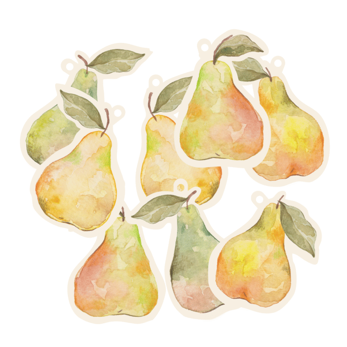 Tags - Quiet Orchard